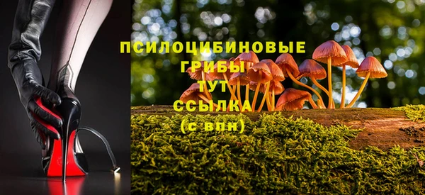 трава Баксан