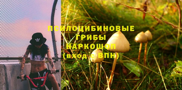 индика Балахна